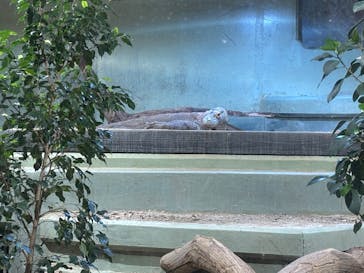 名古屋市東山動植物園に投稿された画像（2025/2/18）