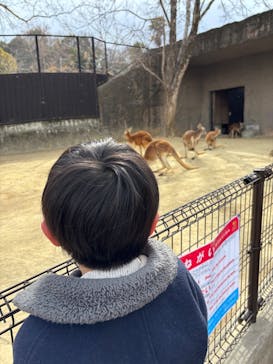 名古屋市東山動植物園に投稿された画像（2025/2/18）