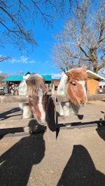 まかいの牧場に投稿された画像（2025/2/18）