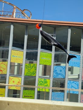 伊豆・三津シーパラダイスに投稿された画像（2025/2/18）