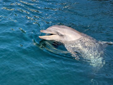 伊豆・三津シーパラダイスに投稿された画像（2025/2/18）