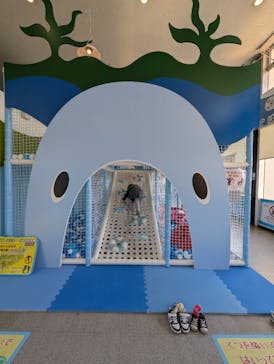 伊豆・三津シーパラダイスに投稿された画像（2025/2/18）