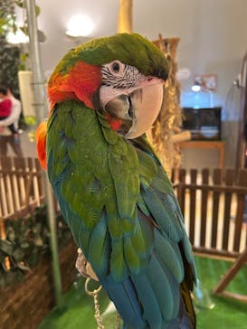 Moff animal cafe イオンモール幕張新都心店に投稿された画像（2025/2/18）