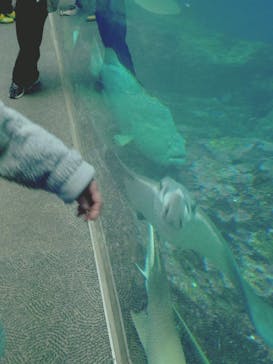 鴨川シーワールドに投稿された画像（2025/2/18）