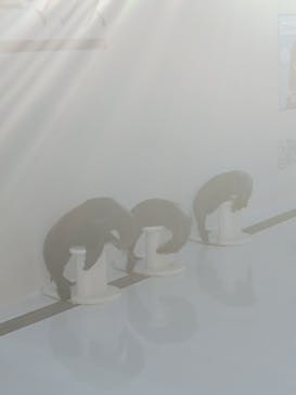 鴨川シーワールドに投稿された画像（2025/2/18）