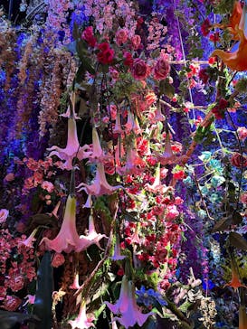 蜷川実花展 with EiM：彼岸の光、此岸の影 NINAGAWA Mika with EiM：Lights of the beyond, Shadows of this worldに投稿された画像（2025/2/18）