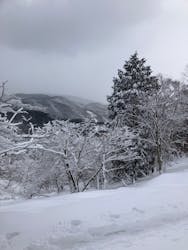 GOODTIMES 高島店に投稿された画像（2025/2/18）