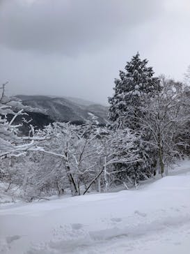 GOODTIMES 高島店に投稿された画像（2025/2/18）
