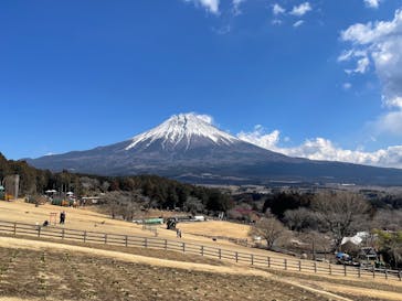 まかいの牧場に投稿された画像（2025/2/18）