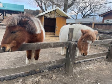 まかいの牧場に投稿された画像（2025/2/18）