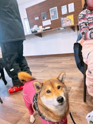 黒姫高原スノーパーク・KUROHIME GREEN GARDENに投稿された画像（2025/2/18）