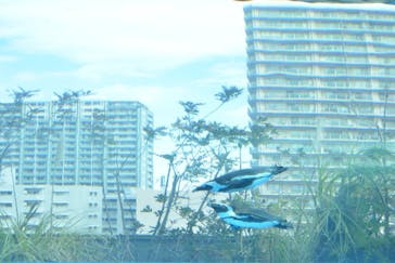 サンシャイン水族館に投稿された画像（2025/2/18）