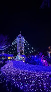 江の島1dayに投稿された画像（2025/2/18）