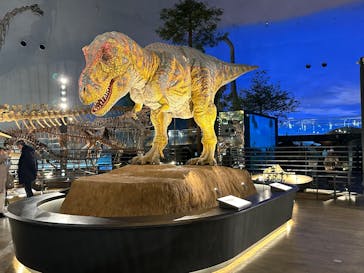 福井県立恐竜博物館に投稿された画像（2025/2/18）