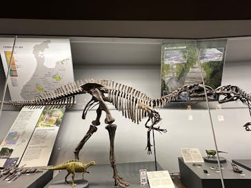 福井県立恐竜博物館に投稿された画像（2025/2/18）