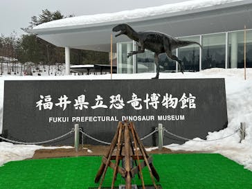 福井県立恐竜博物館に投稿された画像（2025/2/18）