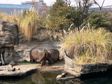 天王寺動物園に投稿された画像（2025/2/18）