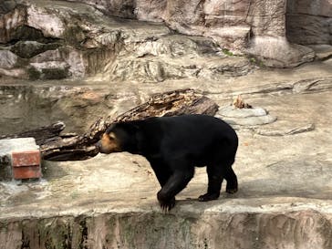 天王寺動物園に投稿された画像（2025/2/18）