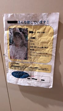 行方不明展に投稿された画像（2025/2/18）