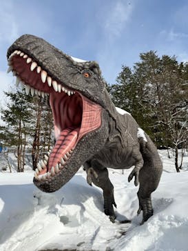 福井県立恐竜博物館に投稿された画像（2025/2/18）