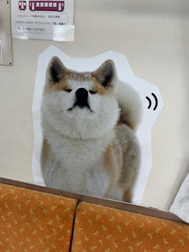 秋田内陸線に投稿された画像（2025/2/19）