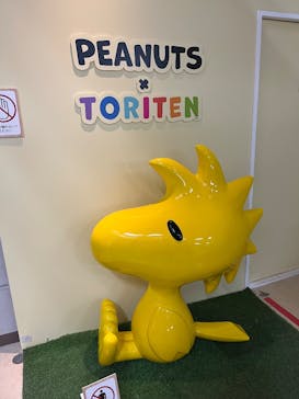 特別展「鳥 ～ゲノム解析が解き明かす新しい鳥類の系統～」国立科学博物館に投稿された画像（2025/2/19）