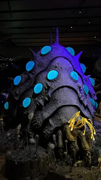 金曜ロードショーとジブリ展　三重展に投稿された画像（2025/2/19）