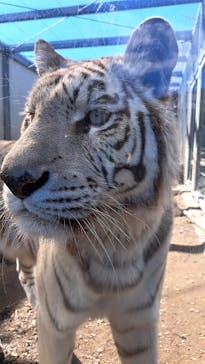 伊豆アニマルキングダムに投稿された画像（2025/2/19）