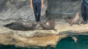アクアワールド茨城県大洗水族館に投稿された画像（2025/2/19）