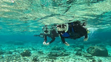 武藤潜水に投稿された画像（2025/2/19）