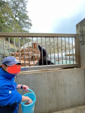 城崎マリンワールドに投稿された画像（2025/2/19）