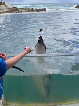 城崎マリンワールドに投稿された画像（2025/2/19）