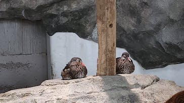 NIFREL（ニフレル）に投稿された画像（2025/2/19）