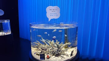 NIFREL（ニフレル）に投稿された画像（2025/2/19）