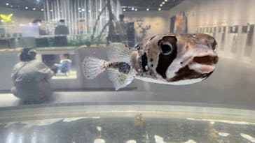 NIFREL（ニフレル）に投稿された画像（2025/2/19）