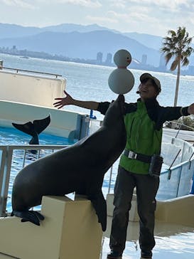 マリンワールド海の中道に投稿された画像（2025/2/19）