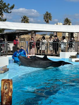 マリンワールド海の中道に投稿された画像（2025/2/19）