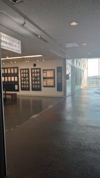 環境水族館アクアマリンふくしまに投稿された画像（2025/2/19）