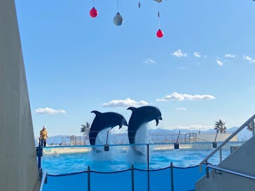 マリンワールド海の中道に投稿された画像（2025/2/19）