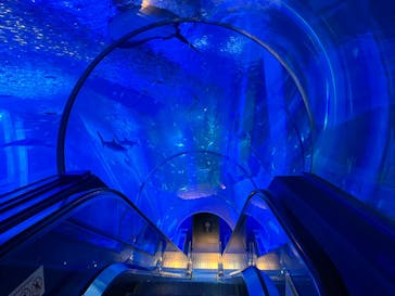 横浜・八景島シーパラダイスに投稿された画像（2025/2/19）