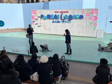 横浜・八景島シーパラダイスに投稿された画像（2025/2/19）