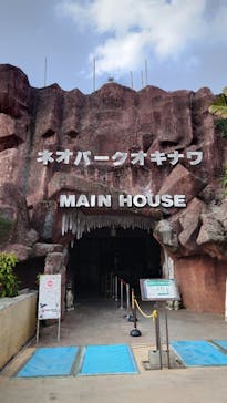 ネオパークオキナワに投稿された画像（2025/2/19）