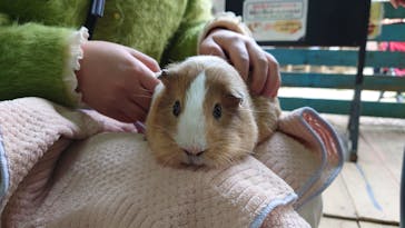 ネオパークオキナワに投稿された画像（2025/2/19）