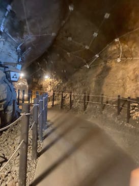 江の島1dayに投稿された画像（2025/2/19）