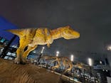 福井県立恐竜博物館に投稿された画像（2025/2/19）