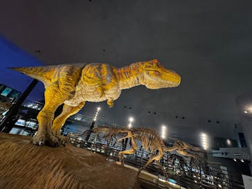 福井県立恐竜博物館に投稿された画像（2025/2/19）