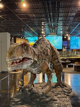 福井県立恐竜博物館に投稿された画像（2025/2/19）