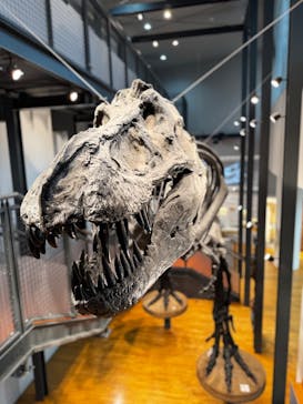 福井県立恐竜博物館に投稿された画像（2025/2/19）