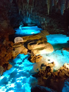 おきなわワールドに投稿された画像（2025/2/19）