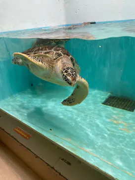 仙台うみの杜水族館に投稿された画像（2025/2/19）